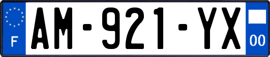 AM-921-YX