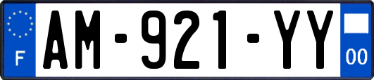 AM-921-YY