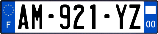 AM-921-YZ