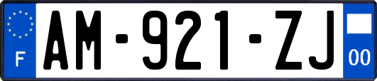 AM-921-ZJ