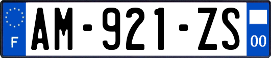AM-921-ZS