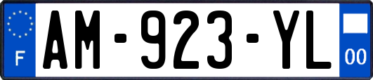 AM-923-YL