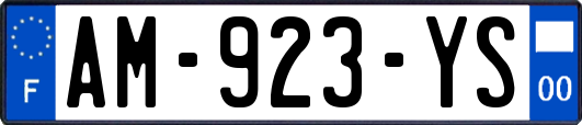 AM-923-YS