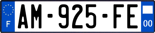 AM-925-FE