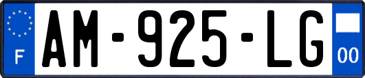 AM-925-LG