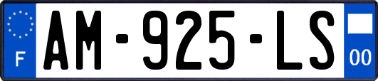 AM-925-LS