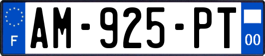 AM-925-PT