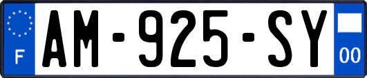 AM-925-SY