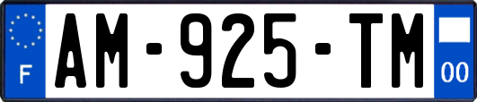 AM-925-TM