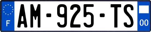 AM-925-TS