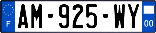 AM-925-WY