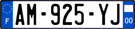 AM-925-YJ