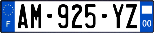 AM-925-YZ