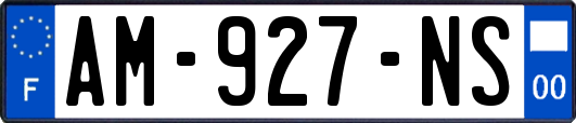 AM-927-NS