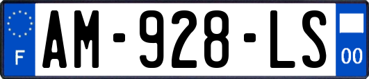 AM-928-LS