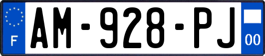 AM-928-PJ
