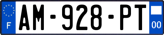 AM-928-PT