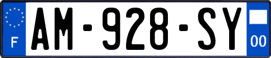 AM-928-SY