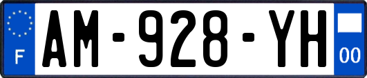 AM-928-YH