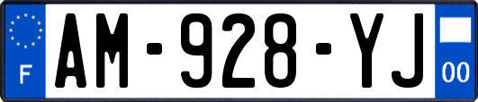 AM-928-YJ