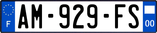 AM-929-FS