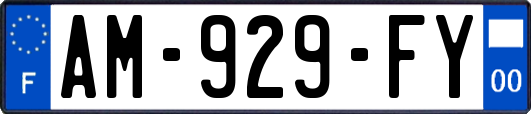 AM-929-FY