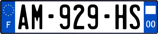 AM-929-HS