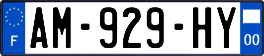 AM-929-HY