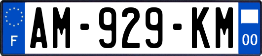 AM-929-KM