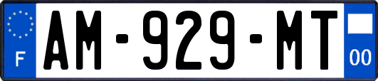 AM-929-MT