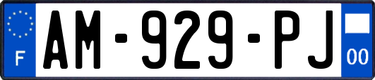 AM-929-PJ