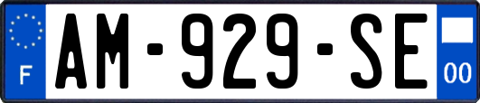 AM-929-SE