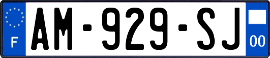 AM-929-SJ