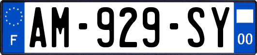 AM-929-SY