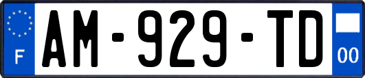 AM-929-TD