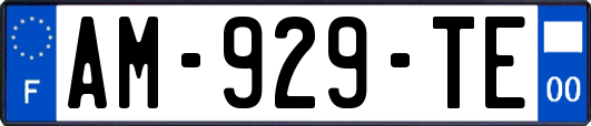 AM-929-TE