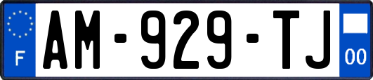 AM-929-TJ