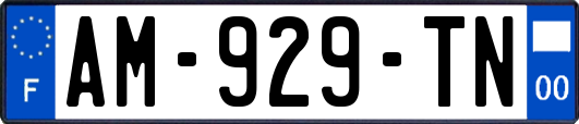 AM-929-TN