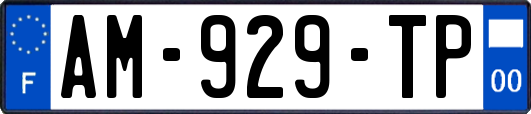 AM-929-TP