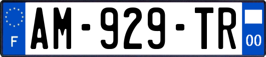 AM-929-TR