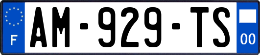 AM-929-TS