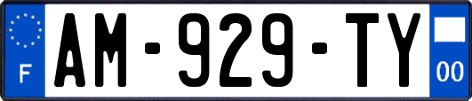 AM-929-TY