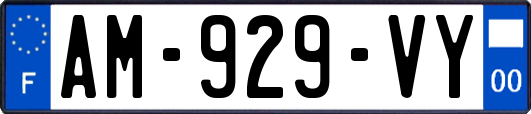 AM-929-VY