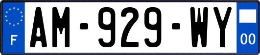 AM-929-WY