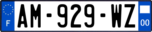 AM-929-WZ