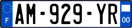 AM-929-YR