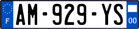 AM-929-YS