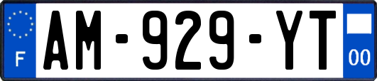 AM-929-YT