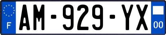 AM-929-YX