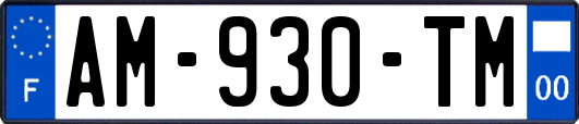 AM-930-TM